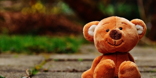 foto av en teddy bjørn