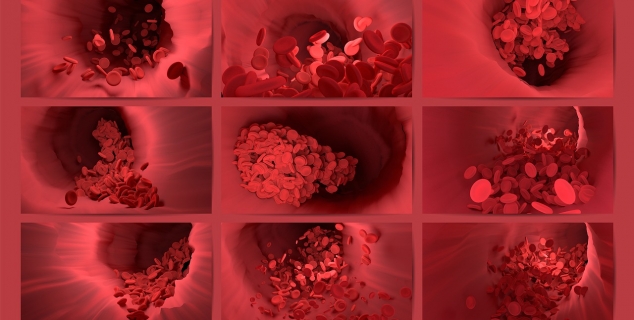 Bilde av innsiden av arteriene i en menneskekropp sett gjennom et mikroskop