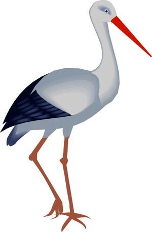 stork