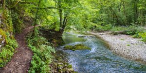 langs bekken AdobeStock Friedberg