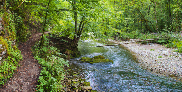 langs bekken AdobeStock Friedberg
