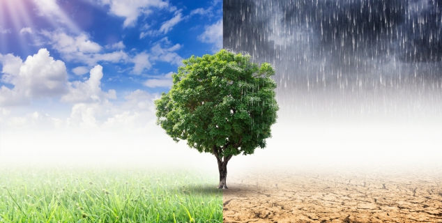 Klima nirutft Adobe Stock