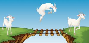 Tre bukker krysser ei bro Adobe Stock GraphicsRF