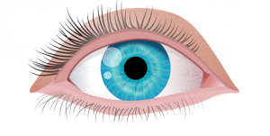 eyes aalmeidah pixabay