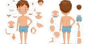 Tegning av et barn med fokus på ulike deler på kroppen