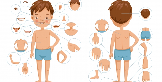 Tegning av et barn med fokus på ulike deler på kroppen