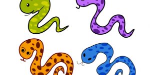 tegning av fire ormer i ulike farger