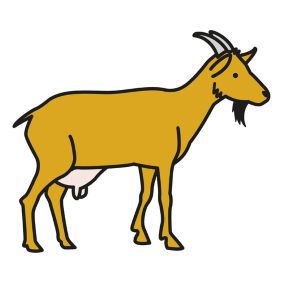 illustrasjon av en geit