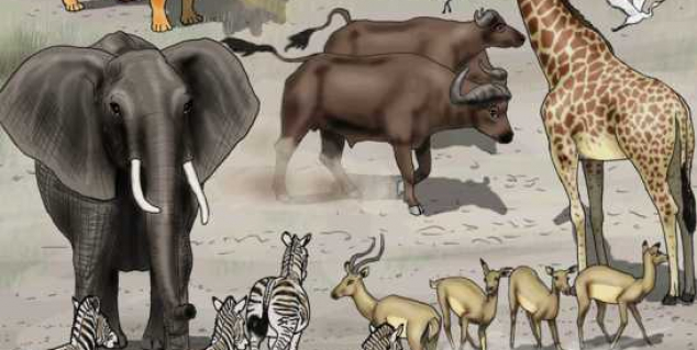 Å telle dyr. Rob Owen