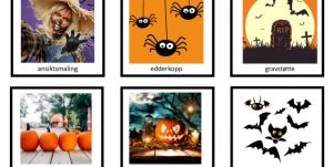 Artikkelbilde memory nafo Adobestock