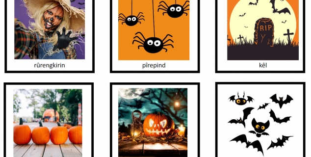 Artikkelbilde2 memory nafo Adobestock