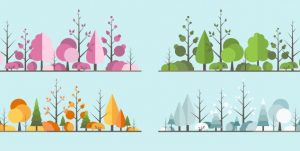 AdobeStock 4 årstider