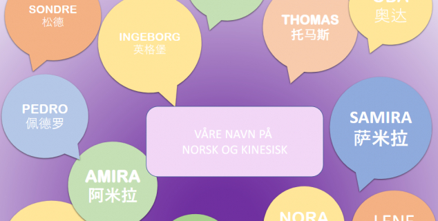 Illustrasjon av NAFOs navneplakat på ulike skriftspråk