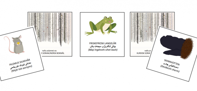 Bilde som viser Skinnvotten bildekort