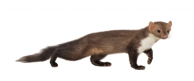 test fdf sdfd hds fsd jls jfdlsjf lkjf lksjf