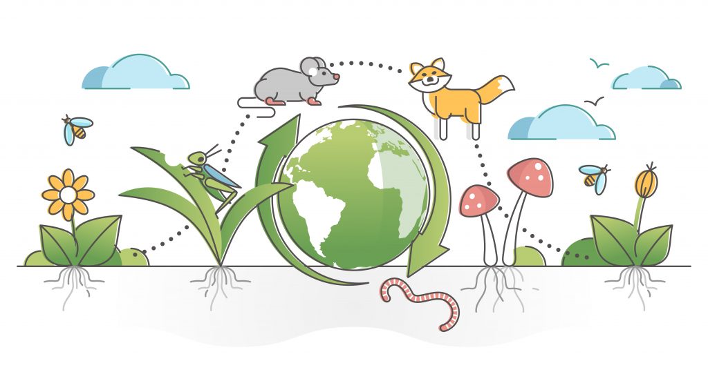 Figuren viser et &oslash;kosystem